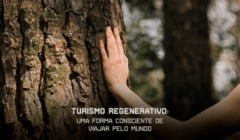 Imagem Blog Card